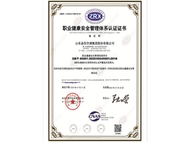 職業(yè)健康安全管理體系認(rèn)證證書(shū)